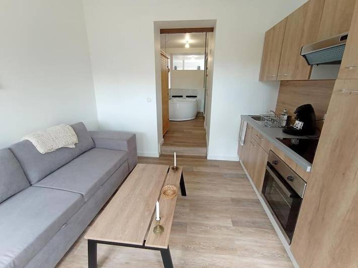 Gîte pour 4 personnes, avec jacuzzi ainsi que jardin et sauna à La Roche-sur-Yon - 3