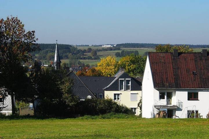 Ferienhaus für 8 Personen, mit Sauna und Garten, mit Haustier - 1
