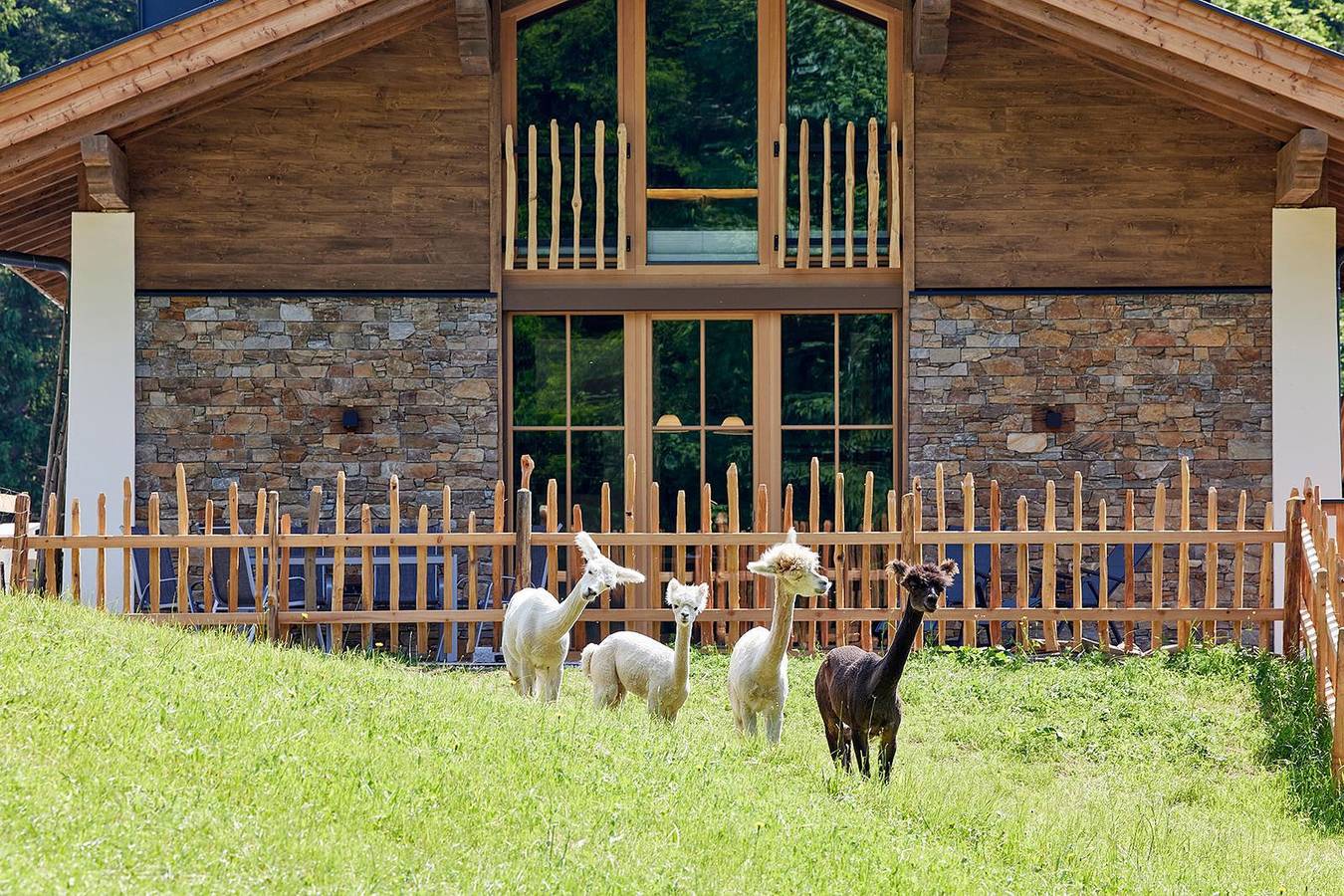Ganze Ferienwohnung, Das Hausruck in Going am Wilden Kaiser, Kitzbüheler Alpen