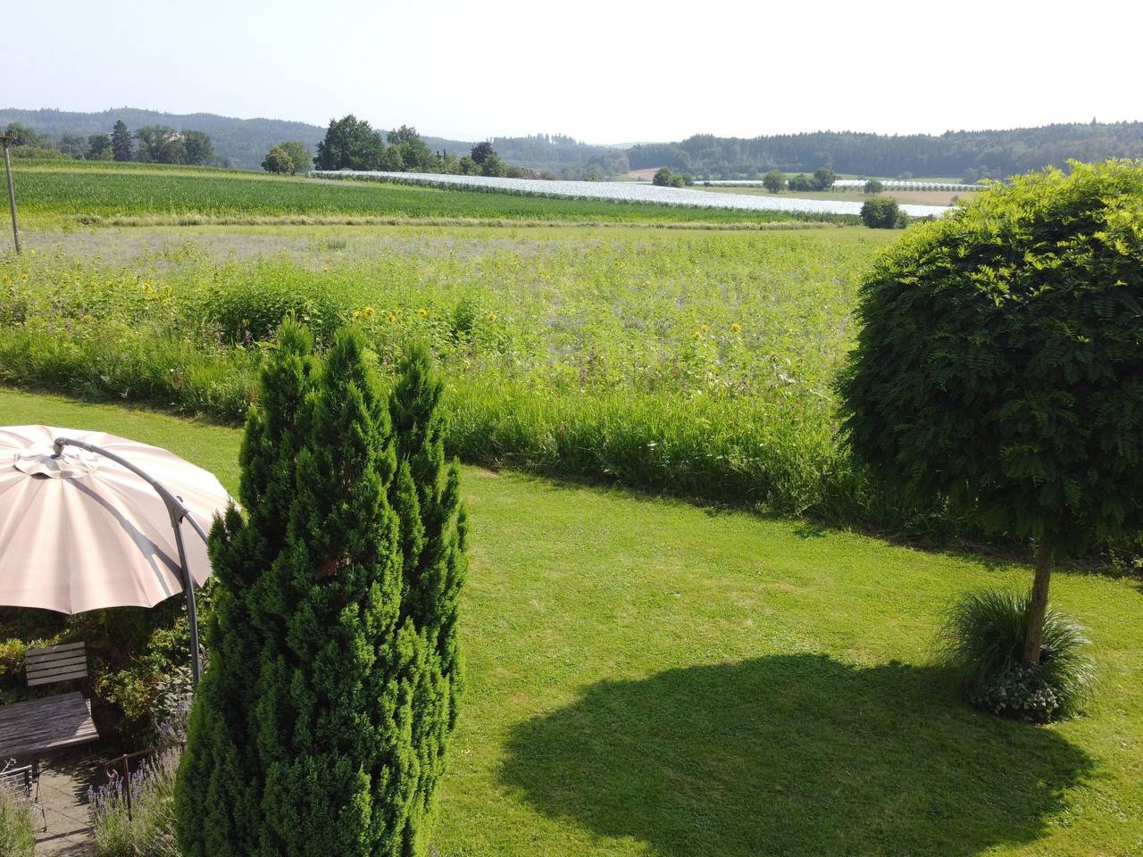 Ganze Wohnung, Appartement in Beuren mit Terrasse und Grill in Salem, Region Bodensee-Oberschwaben