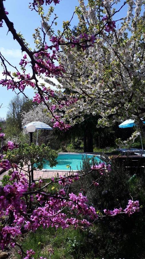 Appartamento vacanze per 4 persone, con panorama e giardino - 1