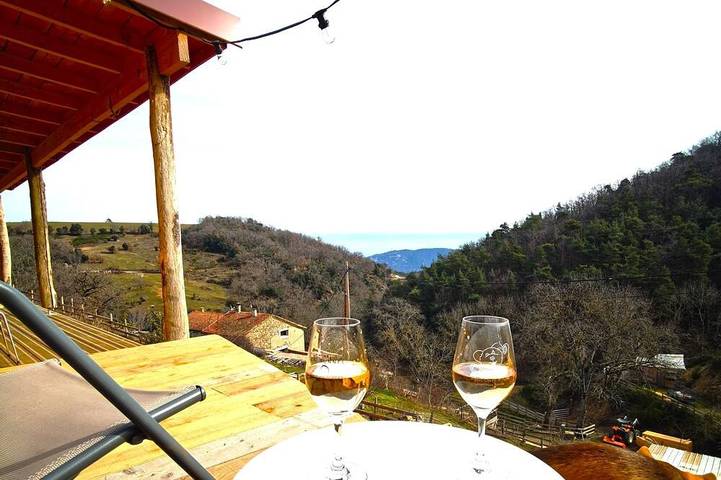 Gîte pour 6 personnes, avec piscine et terrasse ainsi que jacuzzi et jardin à Saint-Péray - 4