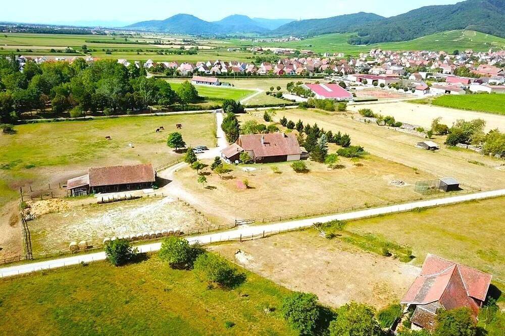 L'Etoile du Vignoble - Au coeur d'un ranch alsacien sur la route des Vins ! in Dambach-la-Ville, Région de Sélestat-Erstein