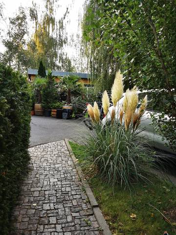 Ferienwohnung für 6 Personen in Blasewitz, Dresden, Bild 4