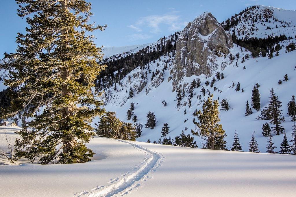 Ganze Wohnung, Diese Ski-in / Ski-out-Wohnung bietet einen atemberaubenden Blick auf die Berge und einen gemeinsamen Whirlpool! in Mammoth Lakes, Mammoth Mountain