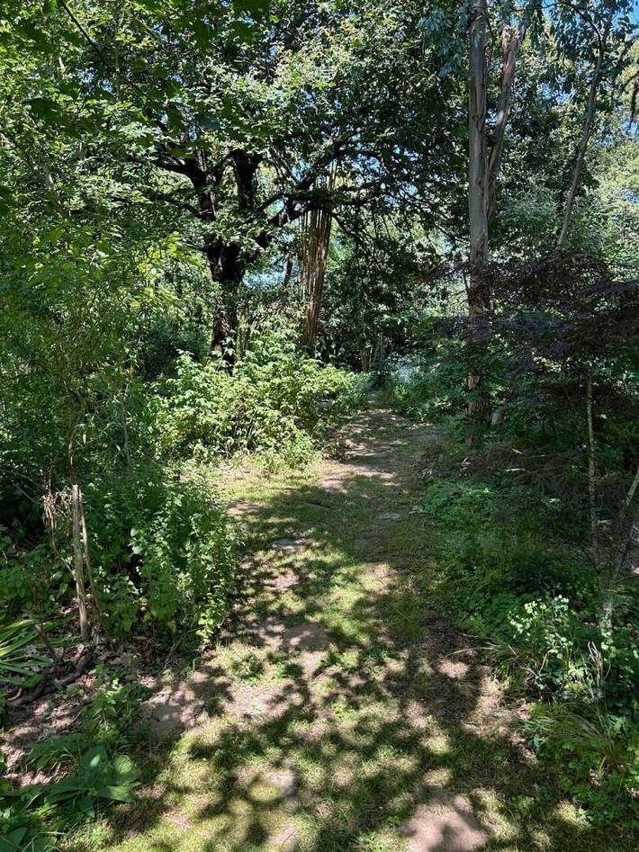 Gîte pour 6 personnes, avec jacuzzi ainsi que jardin et terrasse à Saint-Brice-sur-Vienne - 4