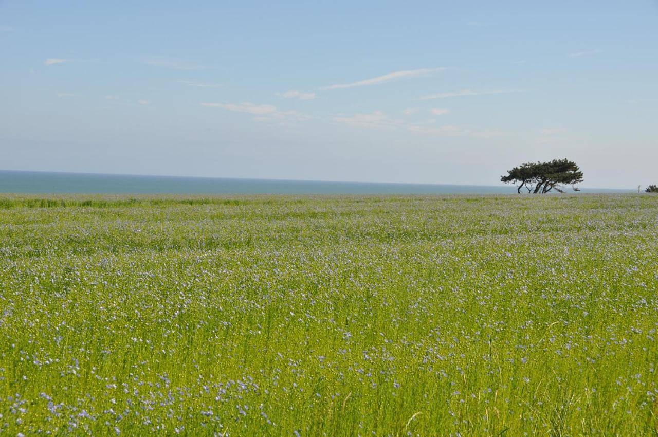 Maison typique à proximité Veules Les Roses in Anglesqueville-la-Bras-Long, Région de Dieppe