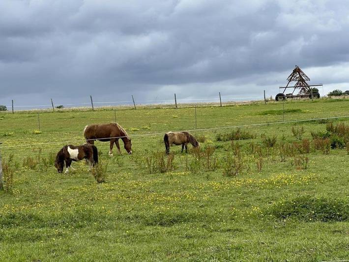 Gîte pour 5 personnes, avec jardin ainsi que terrasse et jacuzzi dans les Landes - 4