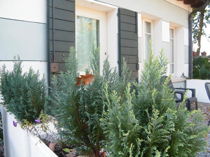 Chambre d’hôte pour 2 personnes, avec Jardin à Passirano - 2