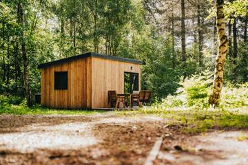 Hut for 3 Guests in Sherwood Forest, Nottinghamshire, Picture 1