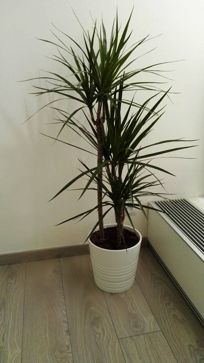 Gîte pour 3 personnes, avec terrasse à Brno - 3