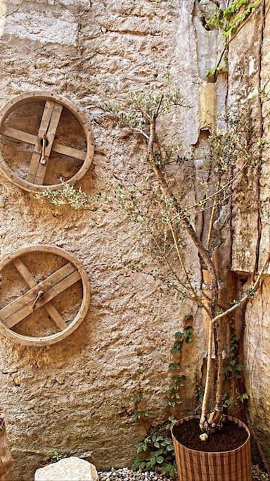 Location de vacances pour 8 personnes, avec terrasse à Saint-Marcel-d'Ardèche - 3