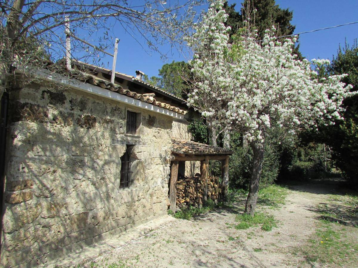 Appartamento intero, Apartment with Garden View in Tocco da Casauria, Gran Sasso