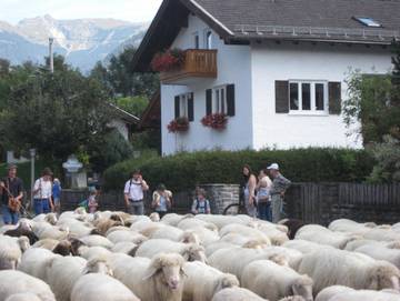Ferienwohnung für 4 Personen in Mittenwald, Bayerische Alpen, Bild 4