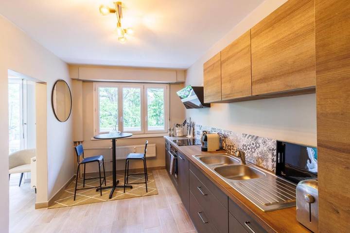 Gîte pour 8 personnes, avec terrasse et vue à Ferney-Voltaire - 4