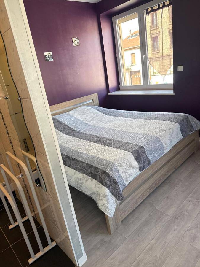 Maison d’hôte pour 2 personnes, avec terrasse, animaux acceptés dans Toul - 2