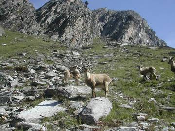 B&b per 4 Persone in San Giovanni di Moriana, Alpi Occidentali, Foto 2