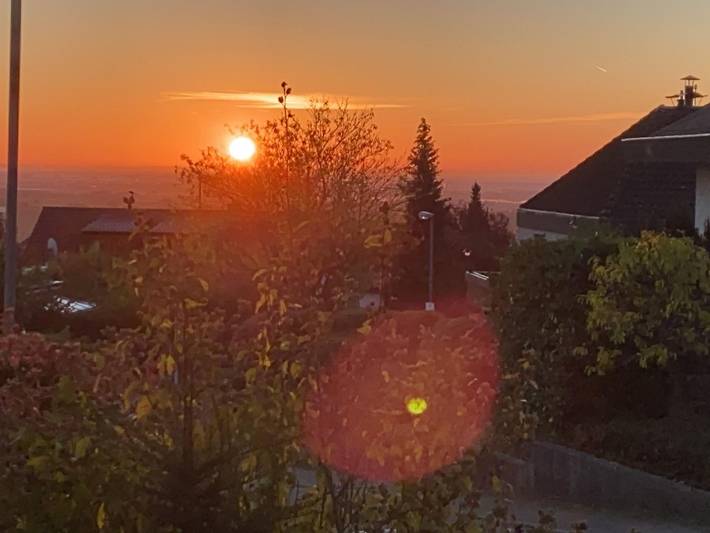 Ferienwohnung für 3 Personen, mit Garten, kinderfreundlich in Neustadt an der Weinstraße - 4