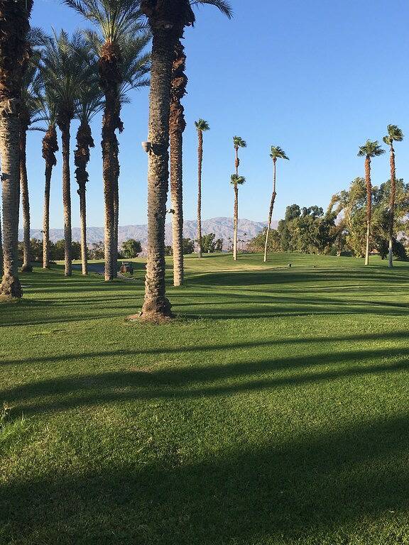 Villa for 4 people, with yard and hot tub as well as pool and terrace in Palm Desert