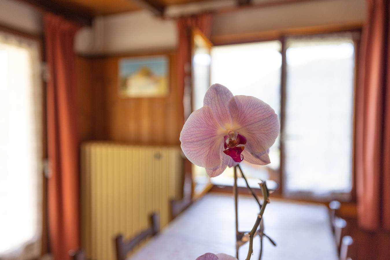Entire apartment, Apartment La rose des vents N 2 with Mountain View, Balcony & Wi-Fi in Châtel, Les Portes du Soleil
