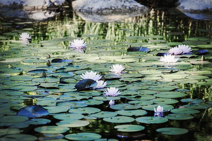 Ferienhaus für 10 Personen, mit Garten und Pool in Bad Goisern am Hallstättersee - 4