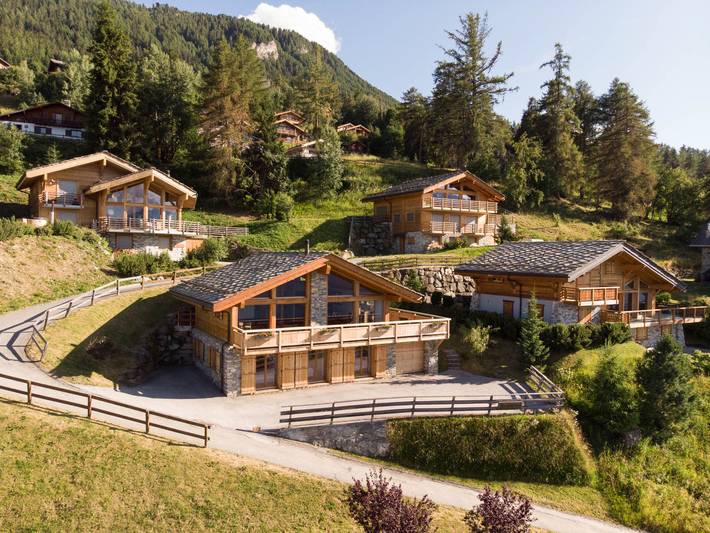 Location de vacances pour 9 personnes, avec jardin et balcon à Nendaz