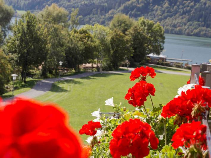 Ganze Ferienwohnung, Haus Panorama - Apartment Möwe in Schliersee, Bayerische Alpen