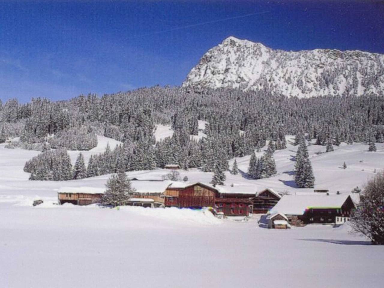 Ganze Ferienwohnung, Haus Peintner - Ferienwohnung 1 in Tannheim (Tirol), Allgäuer Alpen (Österreich)