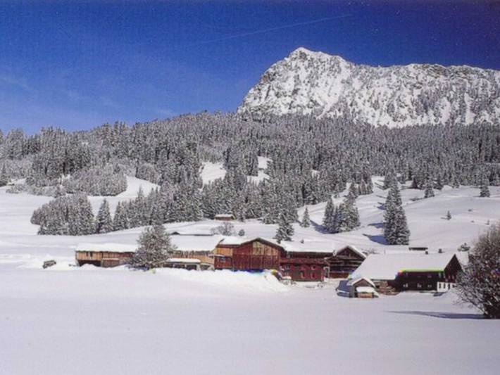 Ferienwohnung für 4 Personen, mit Balkon und Ausblick, mit Haustier in Tannheim (Tirol) - 3
