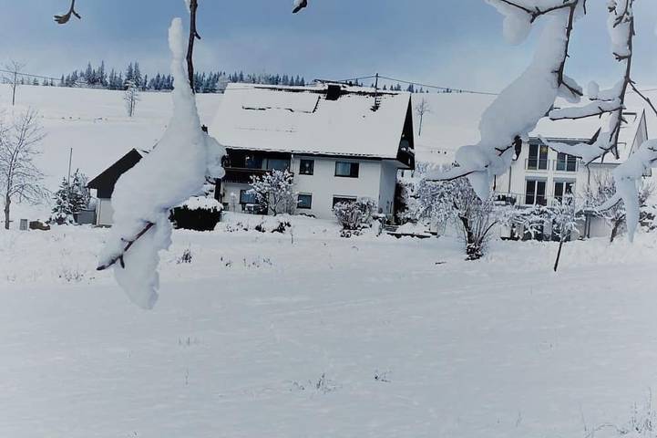 Bauernhof für 4 Personen, mit Garten, mit Haustier in Titisee-Neustadt