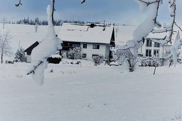 Bauernhof für 4 Personen, mit Garten, mit Haustier in Titisee-Neustadt