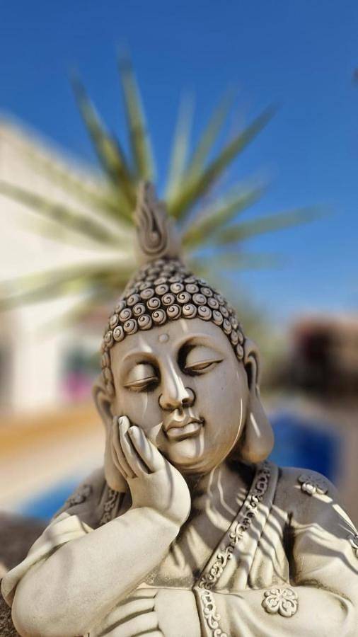 Casa rural para 8 personas, con vistas y piscina además de jardín y vistas al lago en San Pedro del Pinatar - 2