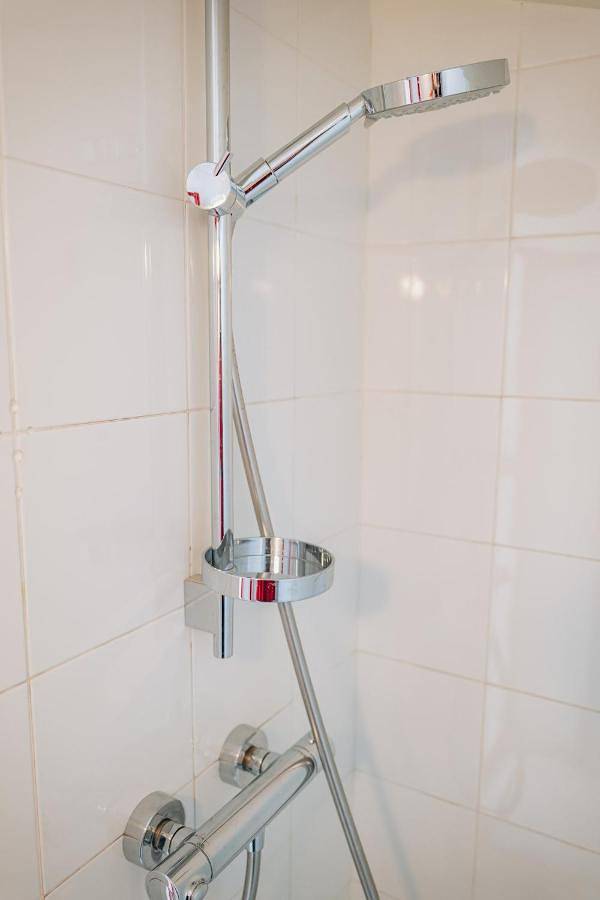 Gîte pour 11 personnes, avec jacuzzi et jardin ainsi que sauna et piscine à Saint-Paul-en-Chablais - 4