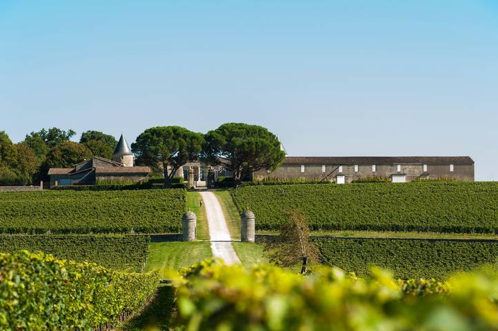 Gîte « Château Saint-Georges Cottage » avec terrasse privée et jardin privé in Montagne, Région de Libourne