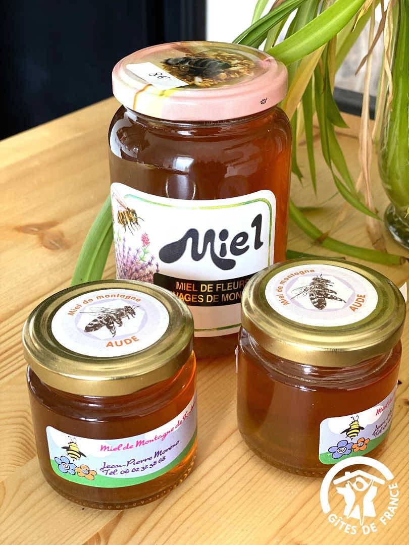 Le Gîte Spa du Cèdre Bleu in La Tourette-Cabardès, Région de Carcassonne