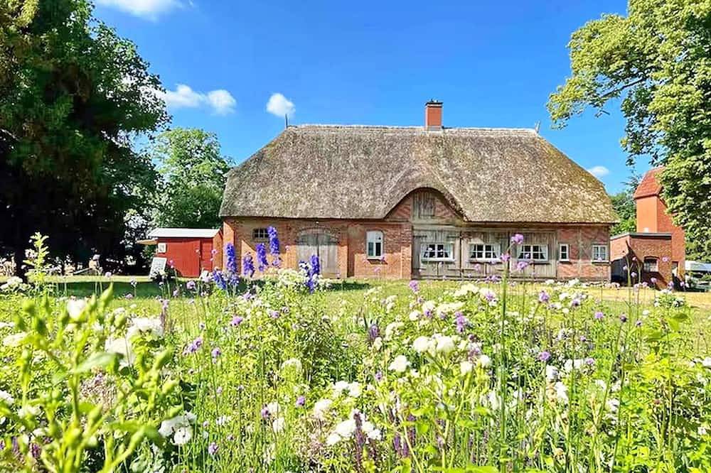 Ganze Wohnung, Ferienwohnung/App. für 5 Gäste mit 65m² in Bad Kleinen in Bad Kleinen, Nordwestmecklenburg (Wismar und Umgebung)