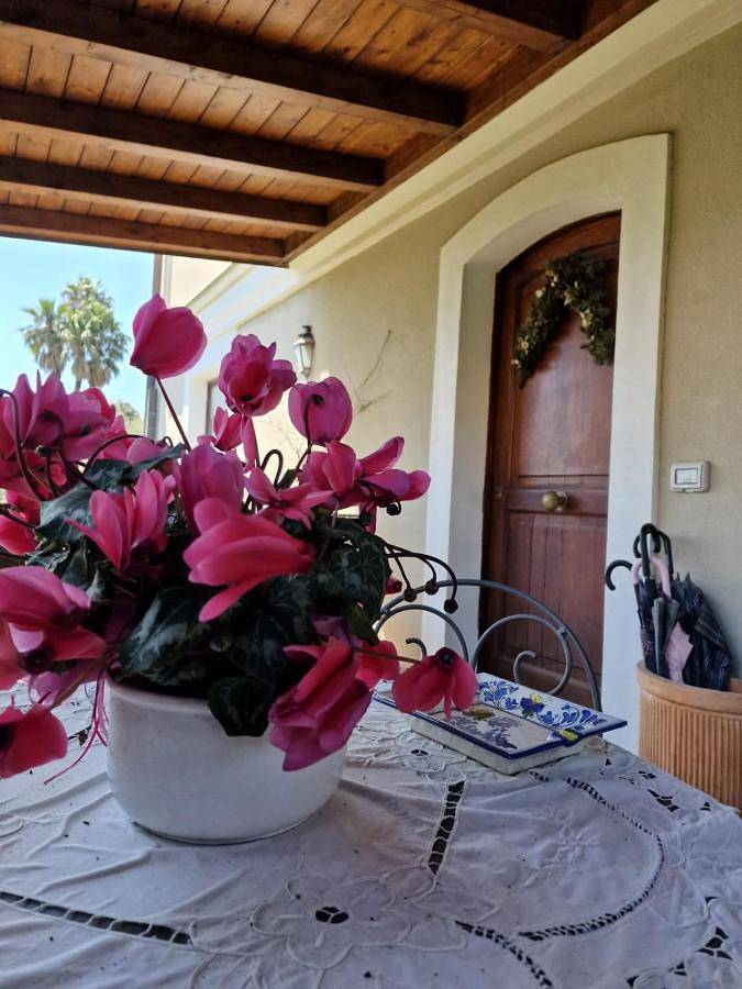 Casa Delle Coccole in Trecastagni, Etna