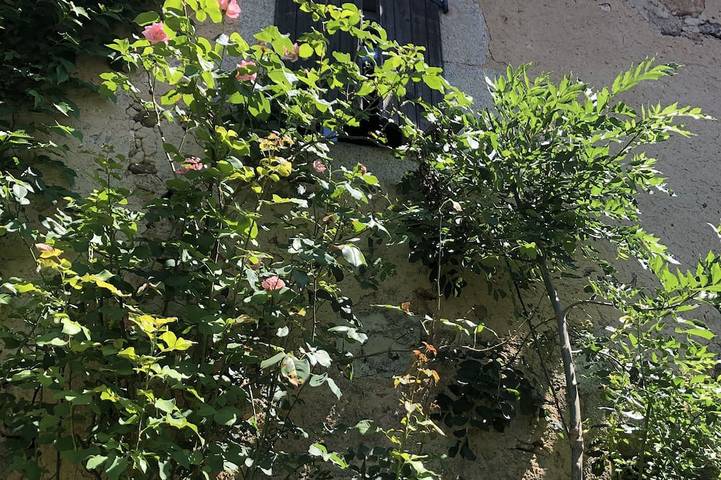 Location de vacances pour 6 personnes à Burlats