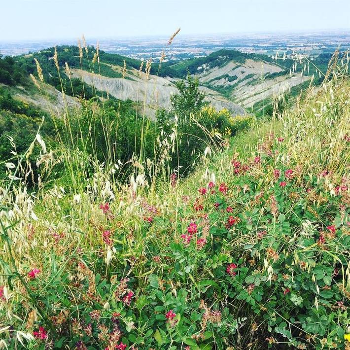 Location de vacances pour 2 personnes, avec terrasse et vue à Ozzano dell'Emilia - 3