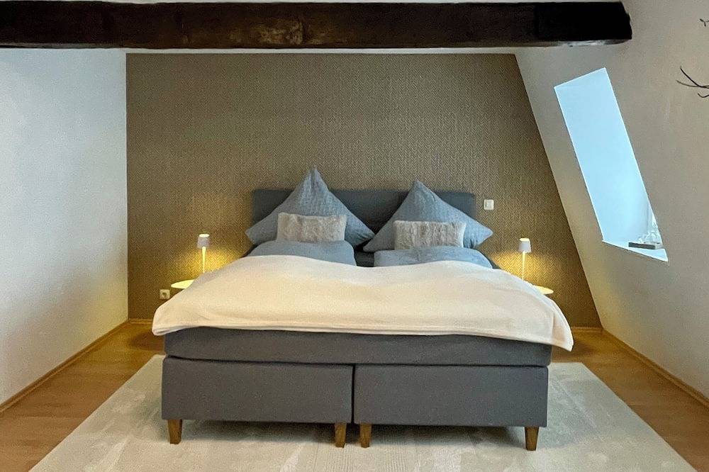 Ganze Wohnung, Wohnen mit Stil und Flair am Schloss - ruhig und doch sehr zentral in Saarbrücken, Saarbrücken & Umgebung