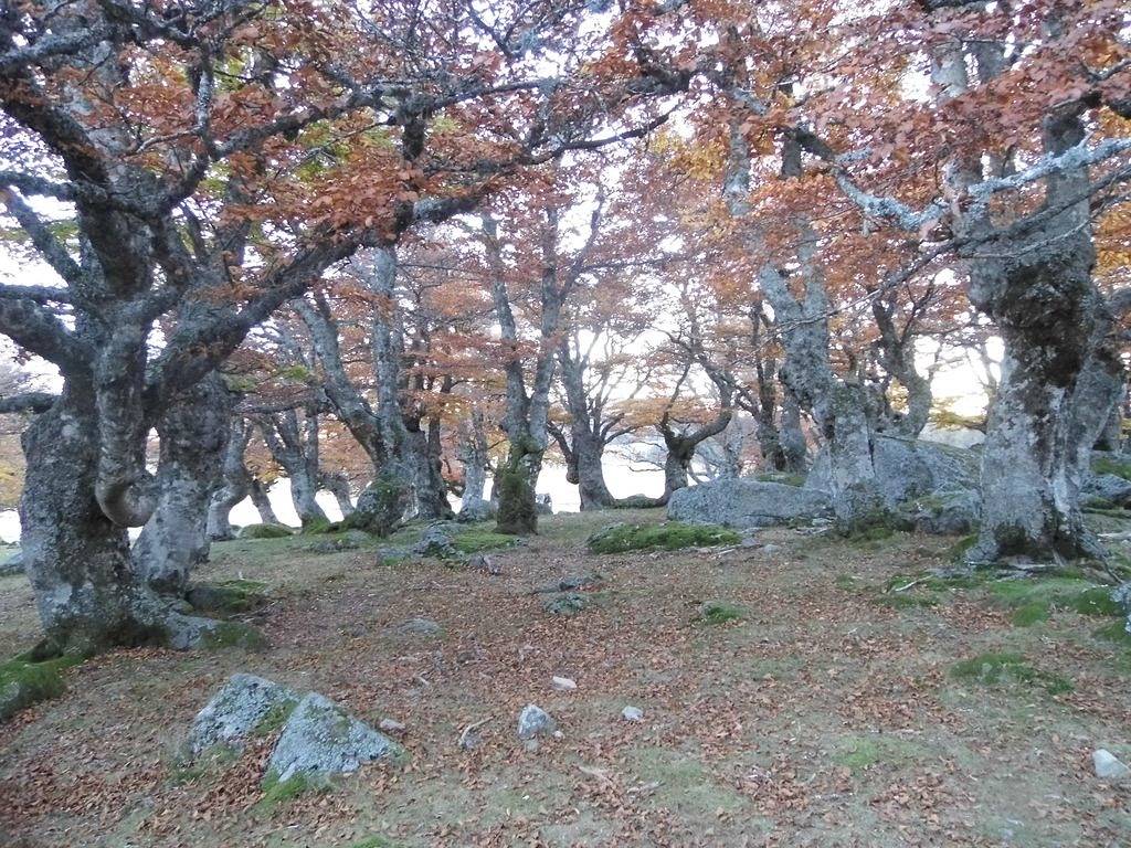 Bed and Breakfast \"great Room\" in Bagnols-les-Bains, Parc national des Cévennes
