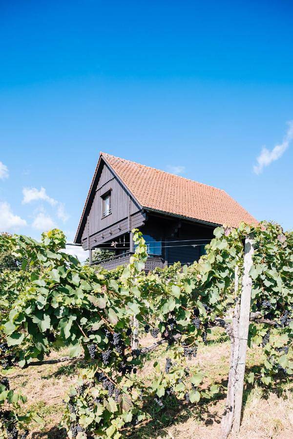 Ferienhaus für 4 Personen, mit Balkon und Terrasse sowie Garten und Pool in St. Stefan ob Stainz