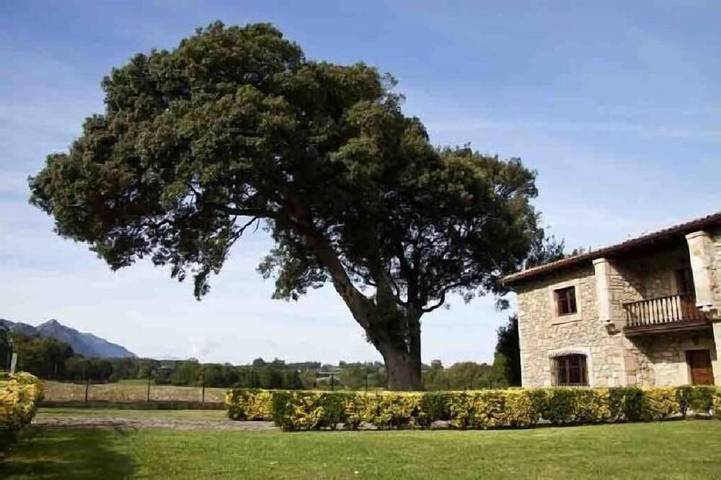 Casa rural para 10 personas, con jardín y balcón - 1