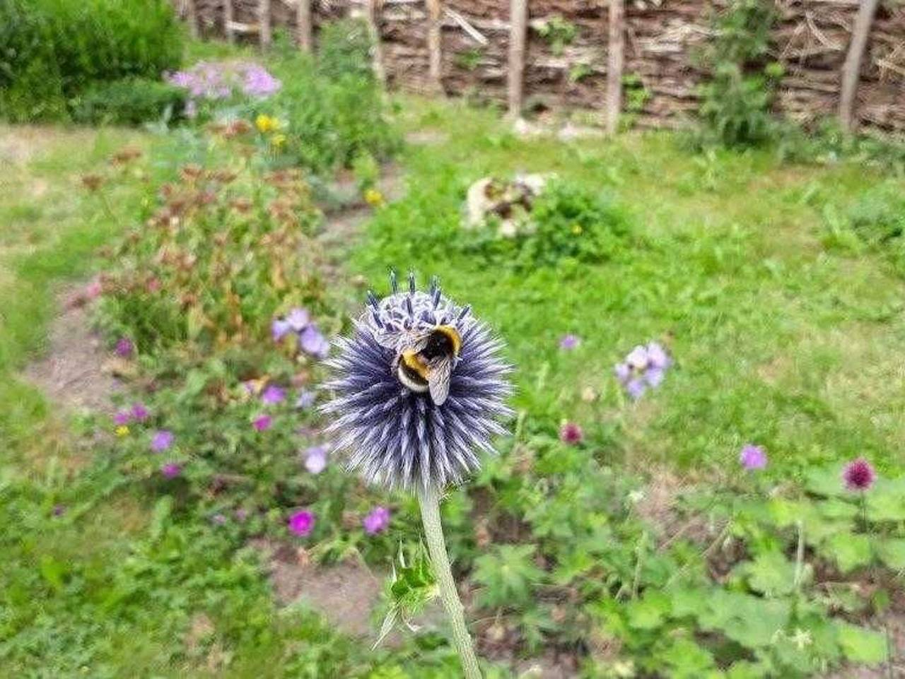 Ganze Ferienwohnung, Ferienwohnung Wolkwitz Süd - Ferienwohnung Wolkwitzsüd in Borrentin, Kummerower See