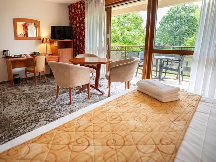 Hôtel pour 4 personnes, avec terrasse à Kintzheim - 2