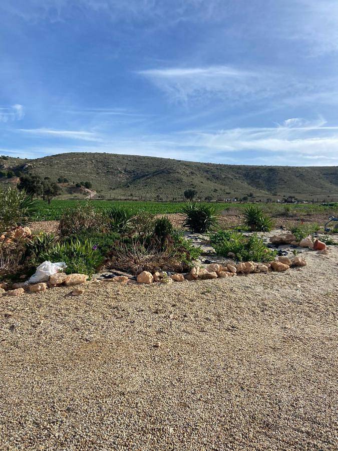 Casa de vacaciones para 6 personas, con Terraza además de Jardín y Vistas en Cabo de Gata - 3