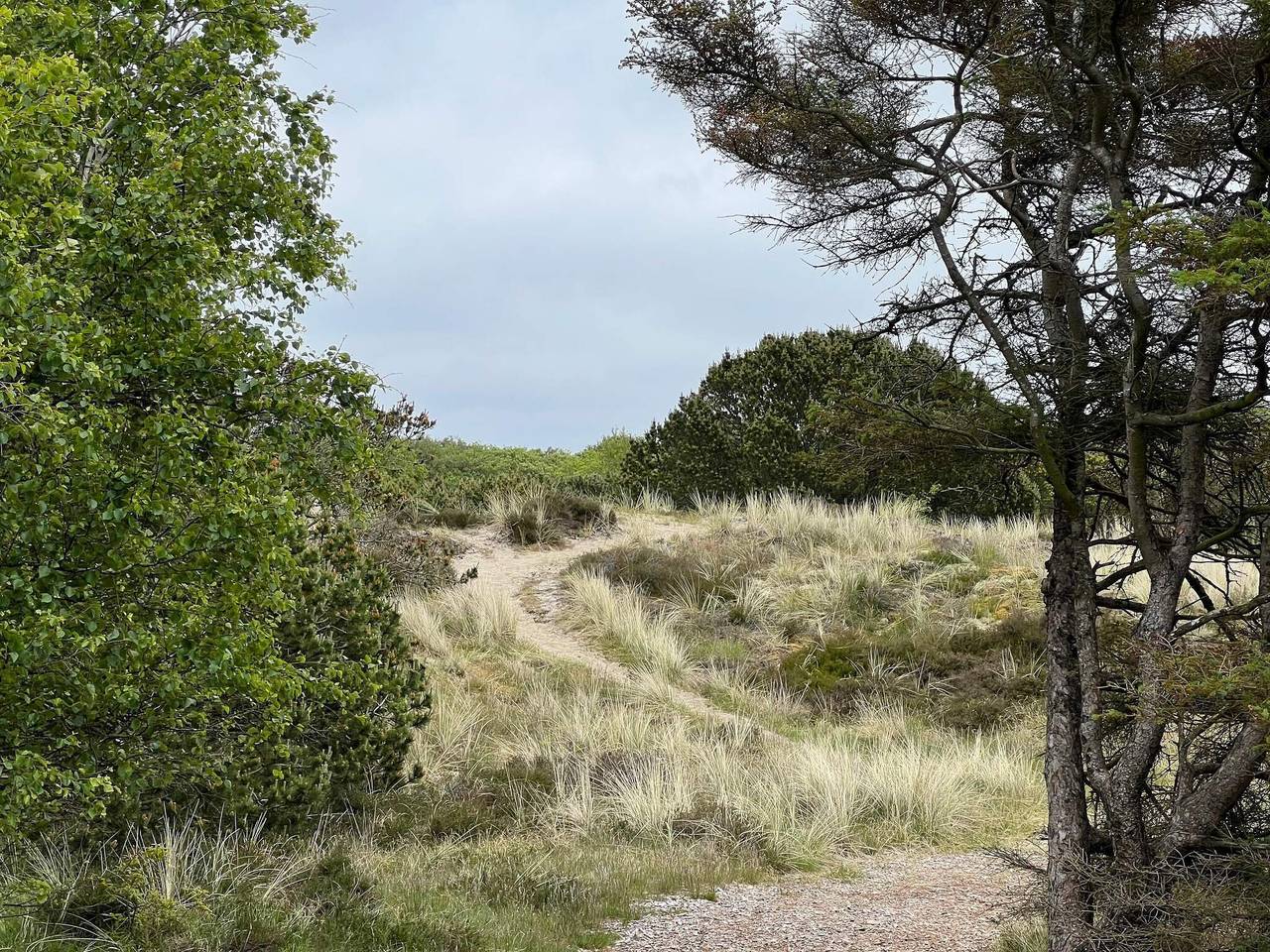 4 Personen Ferienhaus in Fanø-By Traum in Rindby, Fanø