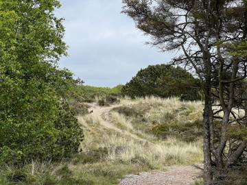 Ferienhaus für 4 Personen in Rindby, Fanø, Bild 4