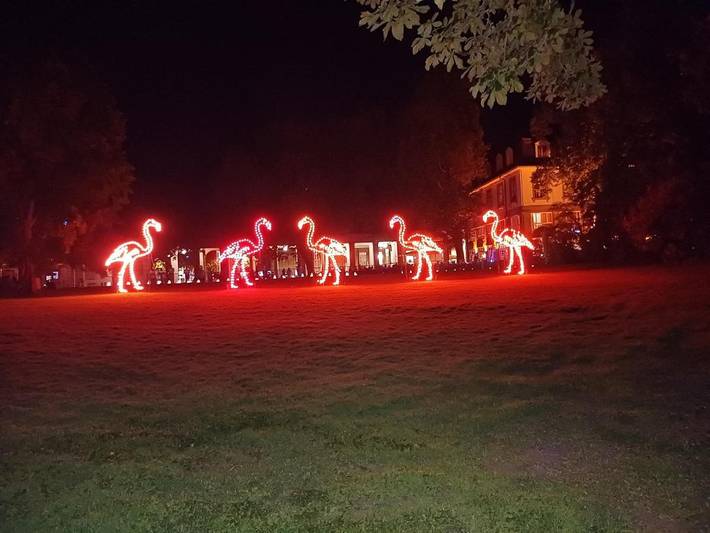 Ferienwohnung für 2 Personen, mit Haustier in Karlsruhe - 2