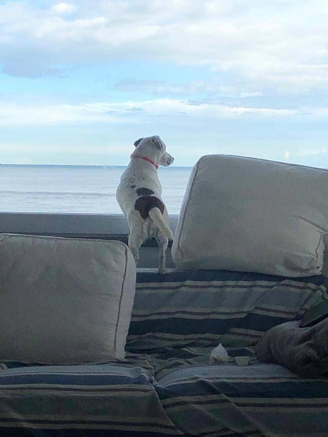 Apartamento de vacaciones para 4 personas, con vistas y balcón - 1